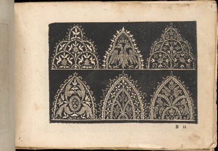 Fiori di Ricami Nuovamente Posti in Luce, page 8 (recto) MET DP362536