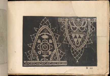 Fiori di Ricami Nuovamente Posti in Luce, page 9 (recto) MET DP362537