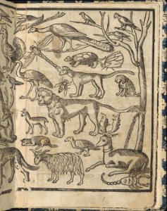 Essempio di recammi, page 13 (recto) MET DP364587