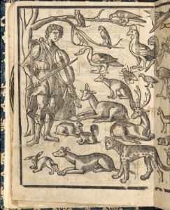 Essempio di recammi, page 12 (verso) MET DP364586