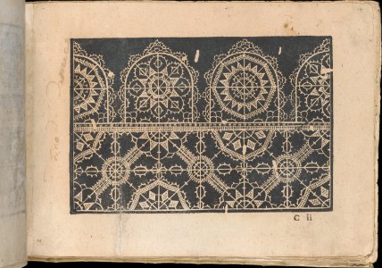 Fiori di Ricami Nuovamente Posti in Luce, page 14 (recto) MET DP362542