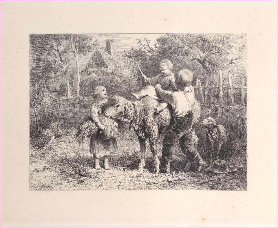 First Riding Lesson Met DP886971