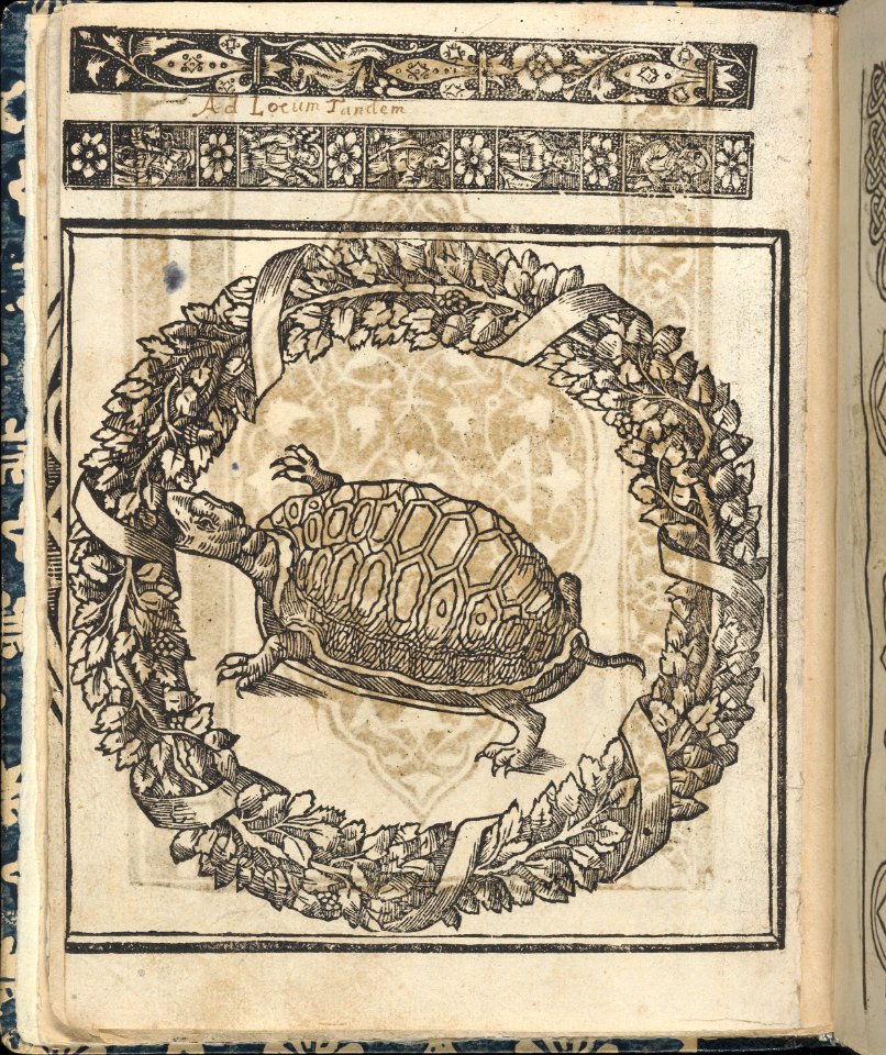 Essempio di recammi, page 23 (verso) MET DP364614