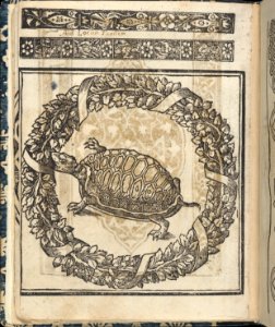 Essempio di recammi, page 23 (verso) MET DP364614
