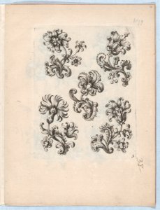 Flowers, Plate 3 MET DP873252
