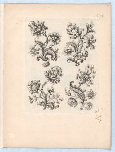 Flowers, Plate 2 MET DP873251