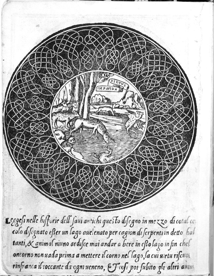 Essempio di recammi, page 4 (verso) MET MM80892