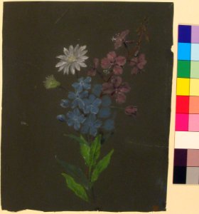 Floral Design MET 28.40.14