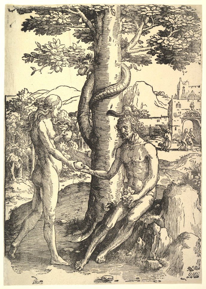 Fall of Man, (Adam and Eve) MET DP819162