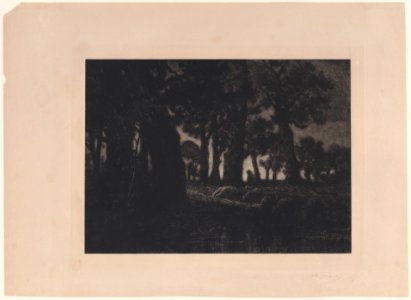 Forest Edge at Twilight Met DP888970