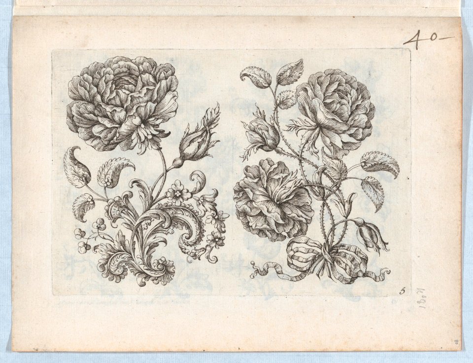 Flowers, Plate 5 MET DP873254