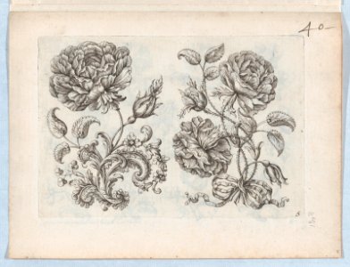 Flowers, Plate 5 MET DP873254