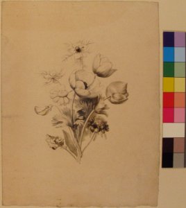 Floral Design MET 28.40.16