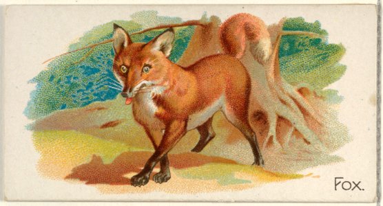 Fox, from the Quadrupeds series (N21) for Allen & Ginter Cigarettes MET DP835113
