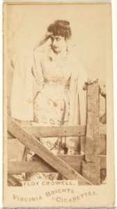Floy Crowell, from the Actors and Actresses series (N45, Type 1) for Virginia Brights Cigarettes MET DP829403