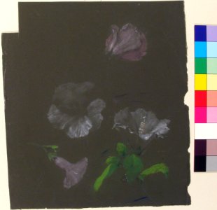Floral Design MET 28.40.7