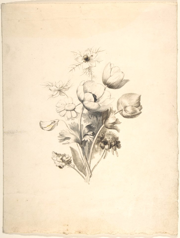 Floral Design MET DP805177