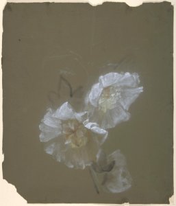Floral Design MET DP805167