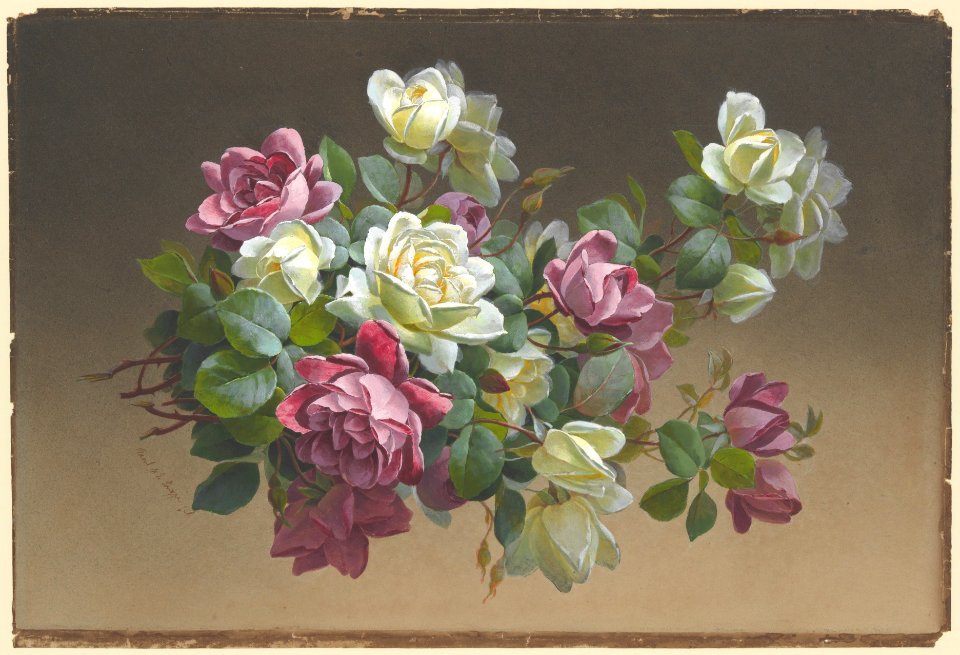 Flowers- Roses MET DP214691