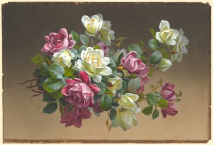Flowers- Roses MET DP214691