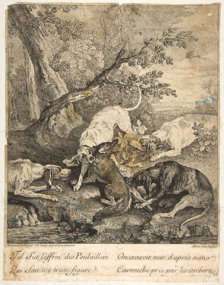 Fox Hunt MET DP818412