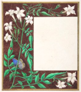 Floral Border Design MET DP801150