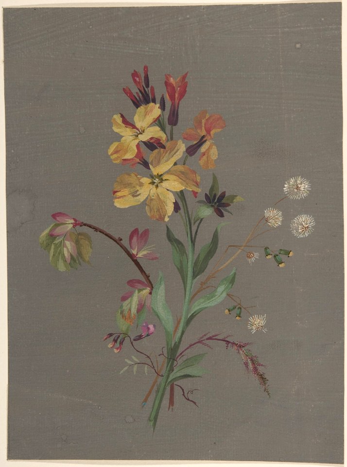 Floral Design MET DP805179