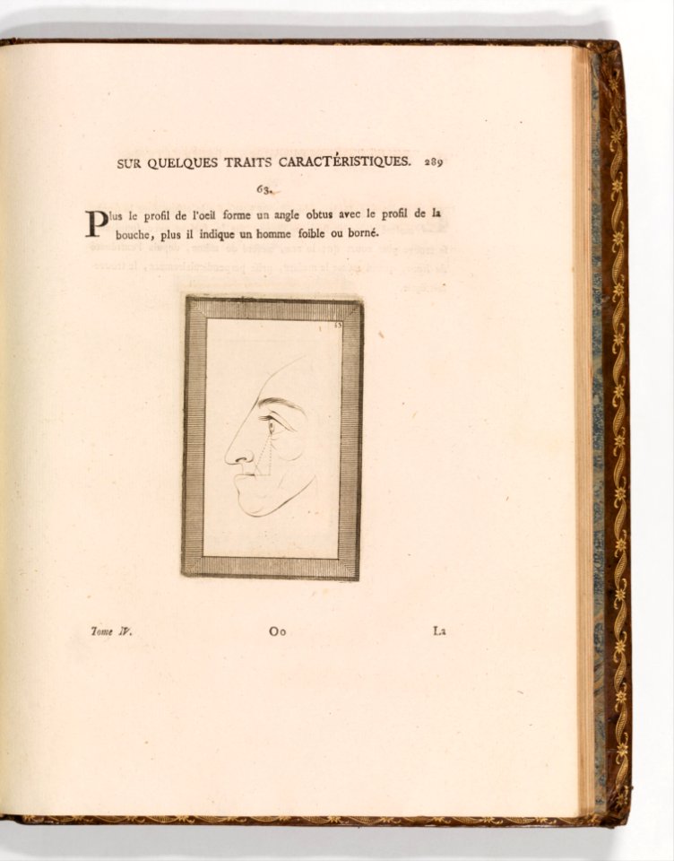 Essay on Physiognomy (Essai sur la Physiognomie Destiné à Faire Connoître l'Homme & à le faire Aimer, par Jean Gaspard Lavater, Citoyen de Zurich et Ministre du St. Evangile) MET DP355667