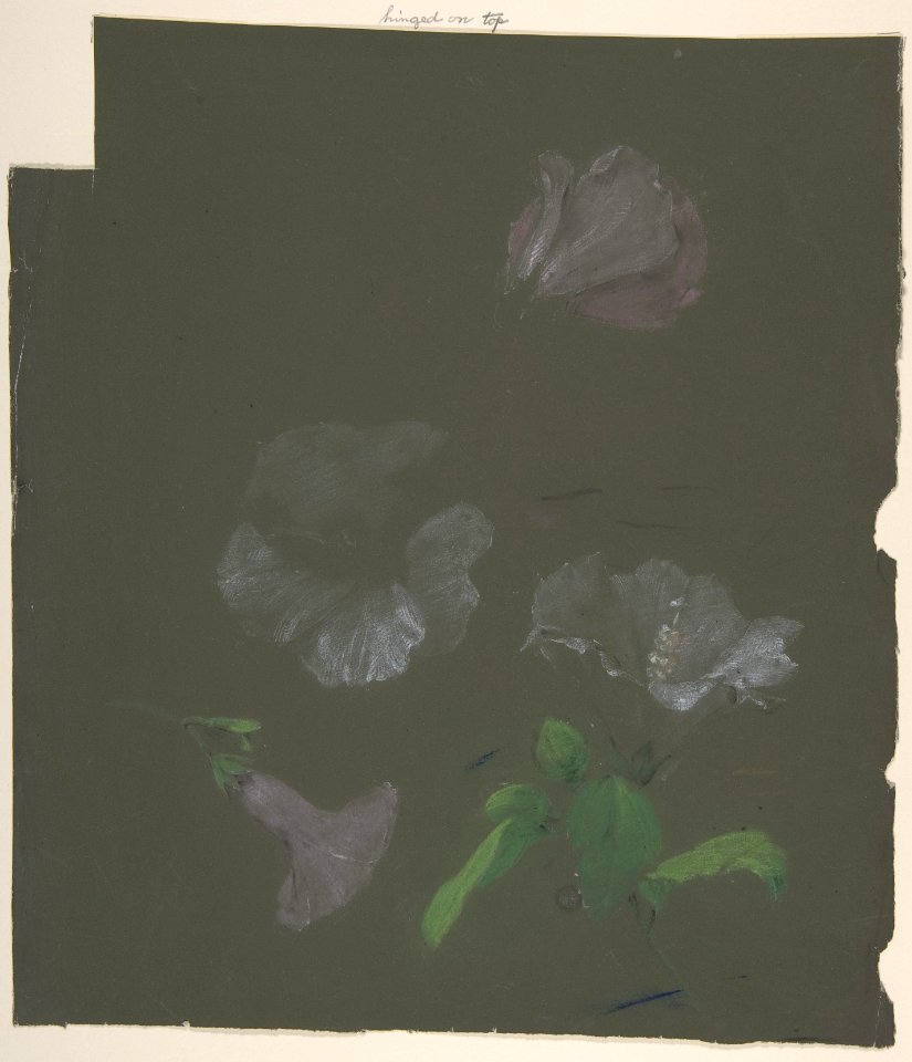 Floral Design MET DP805168