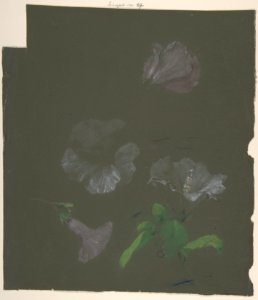 Floral Design MET DP805168
