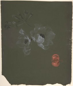 Floral Design MET DP805178