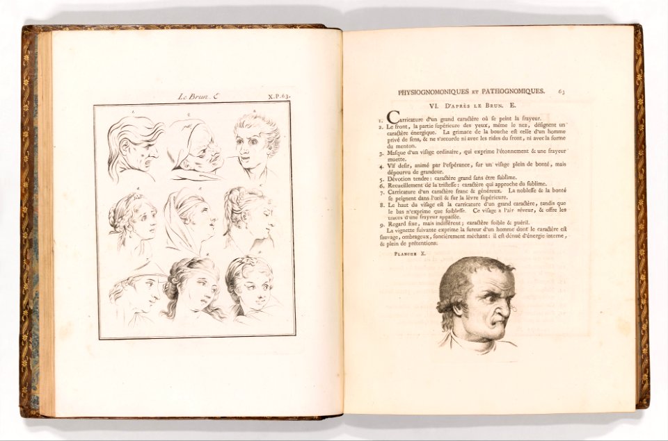 Essay on Physiognomy (Essai sur la Physiognomie Destiné à Faire Connoître l'Homme & à le faire Aimer, par Jean Gaspard Lavater, Citoyen de Zurich et Ministre du St. Evangile) MET DP355668