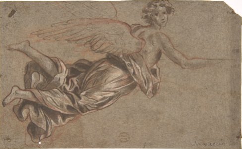 Flying Angel MET DP802535