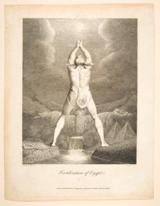 Fertilization of Egypt (Erasmus Darwin, The Botanic Garden) MET DP816711
