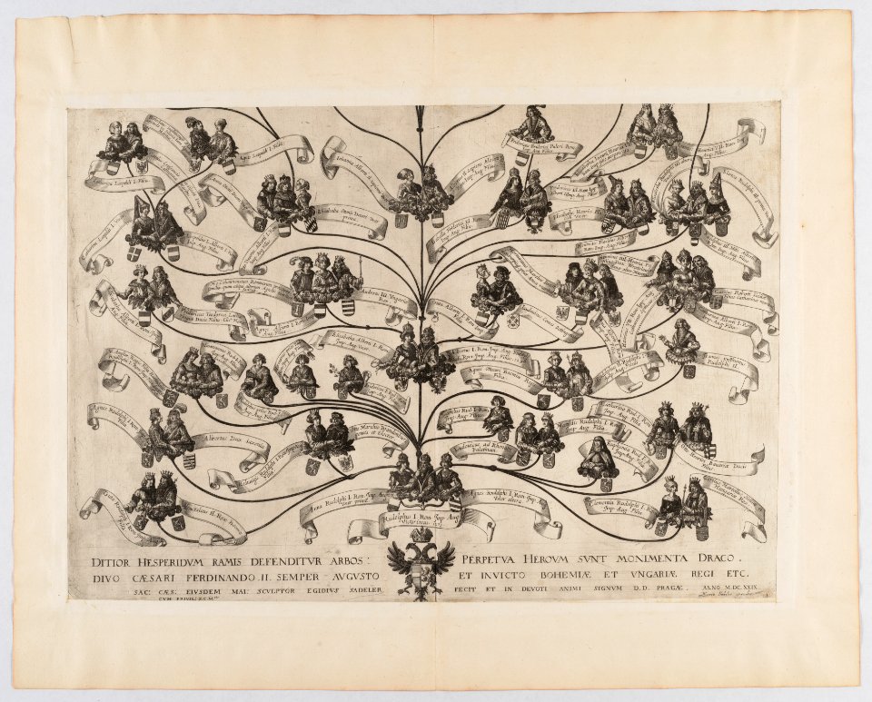 Family Tree of the House of Habsburg Met DP-16116-005