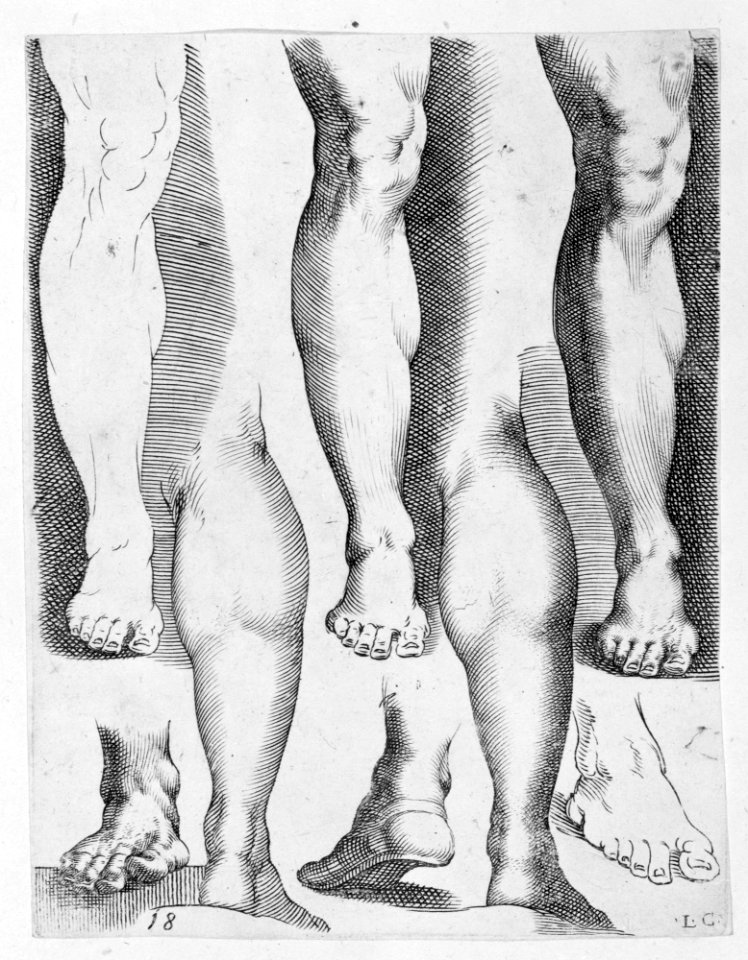 Five Legs and Three Feet MET MM73029