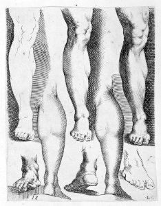 Five Legs and Three Feet MET MM73029