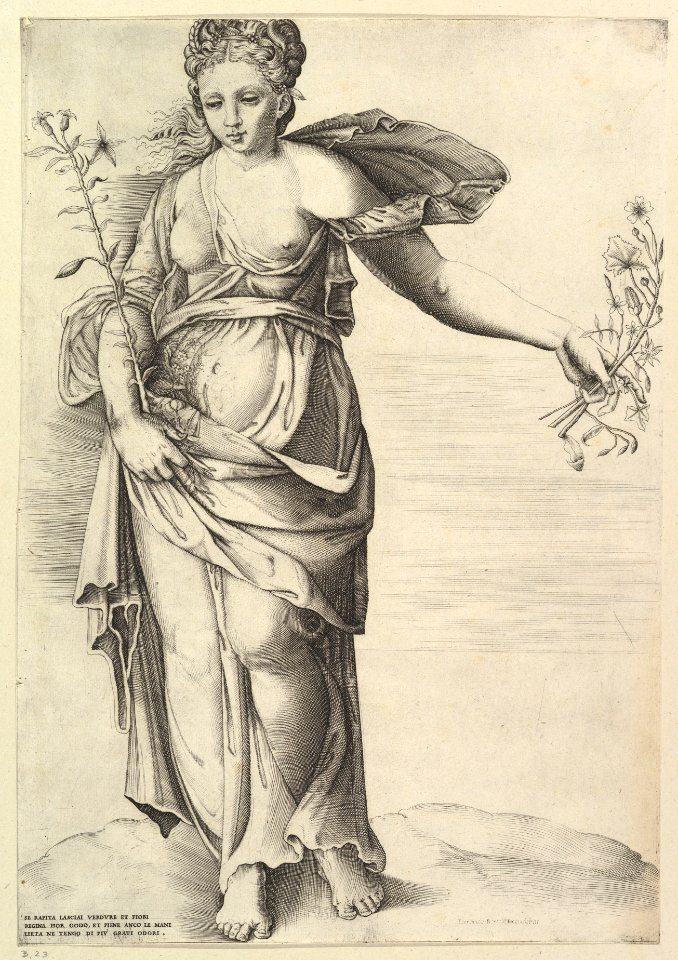 Flora MET DP819646