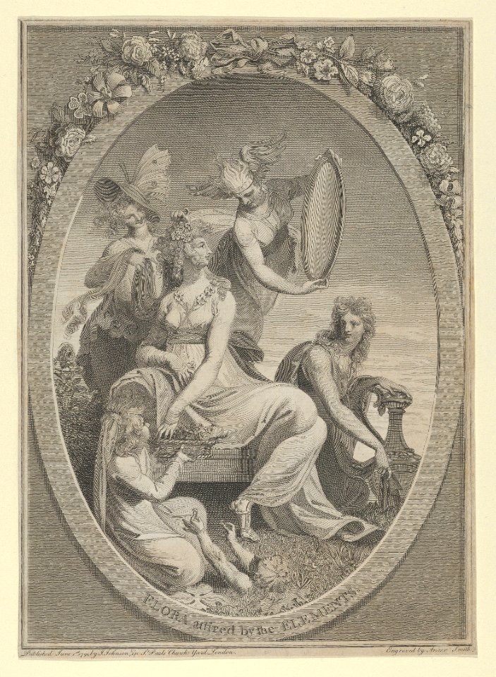 Flora Attired by the Elements (Frontispiece to The Economy of Vegetation, vol. I of Erasmus Darwin's The Botanic Garden) MET DP854862