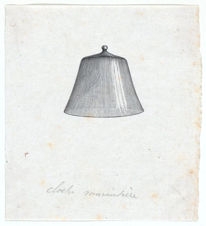 Garden cloche MET DP875317