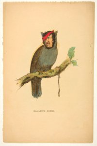 Gallows Bird, from The Comic Natural History of the Human Race MET DP813092