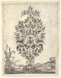 Goldsmith's Bouquet, from Newes Lauberbuechlein MET DP837037