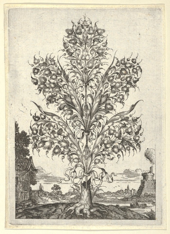 Goldsmith's Bouquet, from Newes Lauberbuechlein MET DP837036