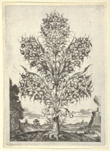 Goldsmith's Bouquet, from Newes Lauberbuechlein MET DP837036