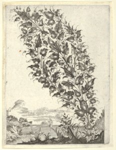 Goldsmith's Bouquet, from Newes Lauberbuechlein MET DP837032