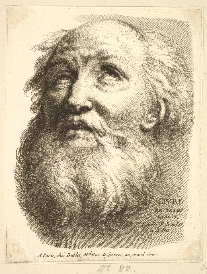 Frontispiece- Head of a Bearded Man, from Livre de Têtes Gravées d'apres F. Boucher et Autres (Book of Heads Engraved after F. Boucher and Others) MET DP826652