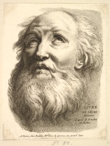 Frontispiece- Head of a Bearded Man, from Livre de Têtes Gravées d'apres F. Boucher et Autres (Book of Heads Engraved after F. Boucher and Others) MET DP826652