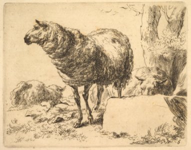 From The Set of Sheep MET DP828319