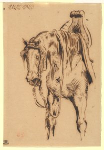 Göetz van Berlichingen's Horse MET DP836136