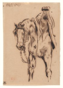 Göetz van Berlichingen's Horse MET DP872946
